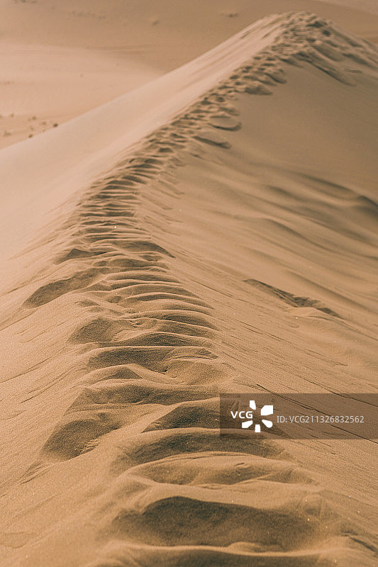 沙漠脚印图片素材