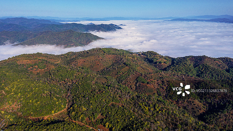 景迈山茶园古镇图片素材