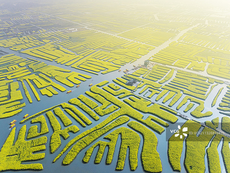 航拍兴化油菜花剁田图片素材
