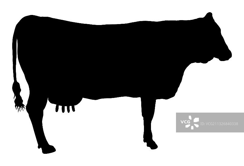 奶牛剪影隔离图片素材