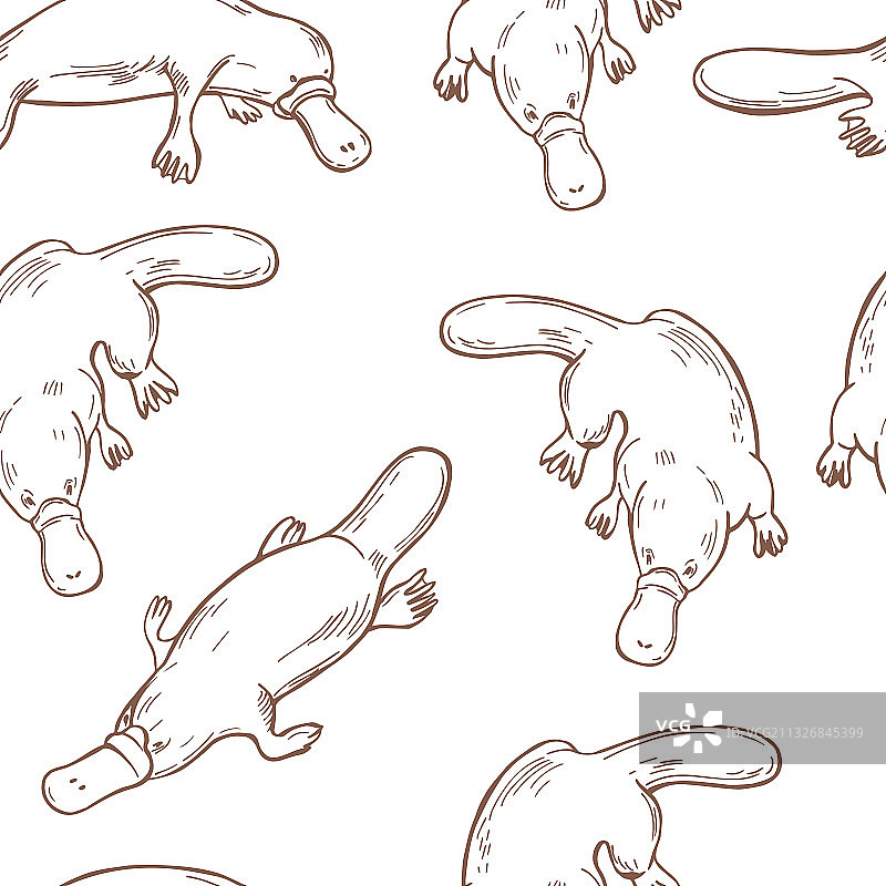 鸭嘴兽图案图片素材