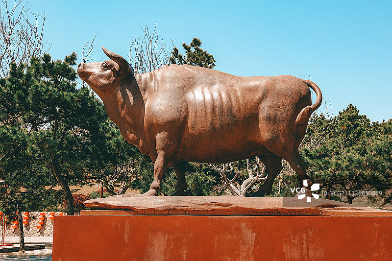 牛 雕塑牛 牛角 牛年 铜牛图片素材