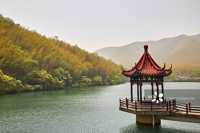 宜兴竹海图片素材