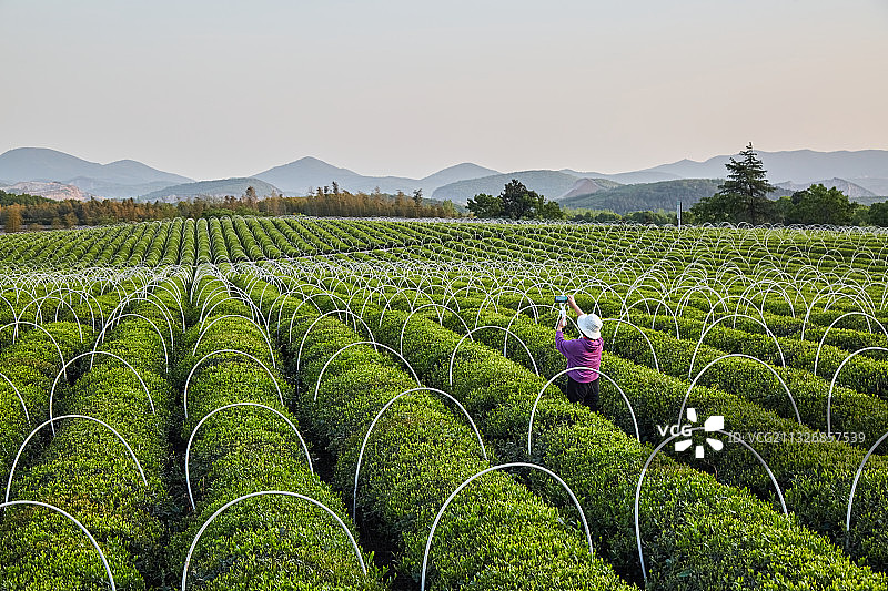 宜兴龙池山自行车公园图片素材
