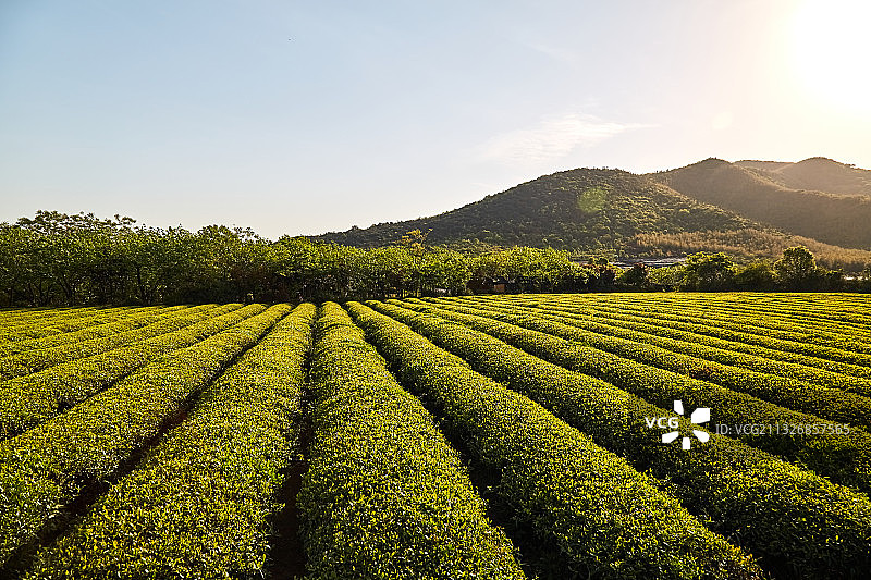 宜兴龙池山自行车公园图片素材