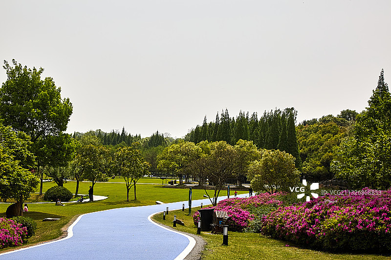 宜兴龙背山森林公园图片素材