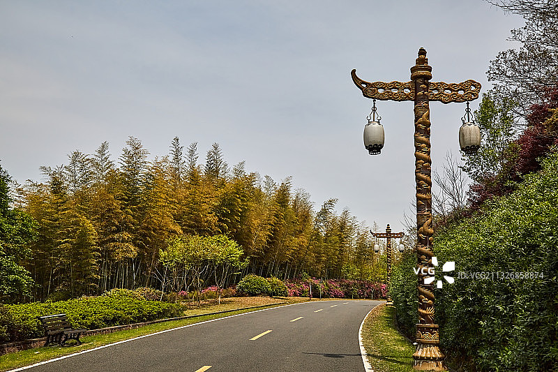 宜兴龙背山森林公园图片素材