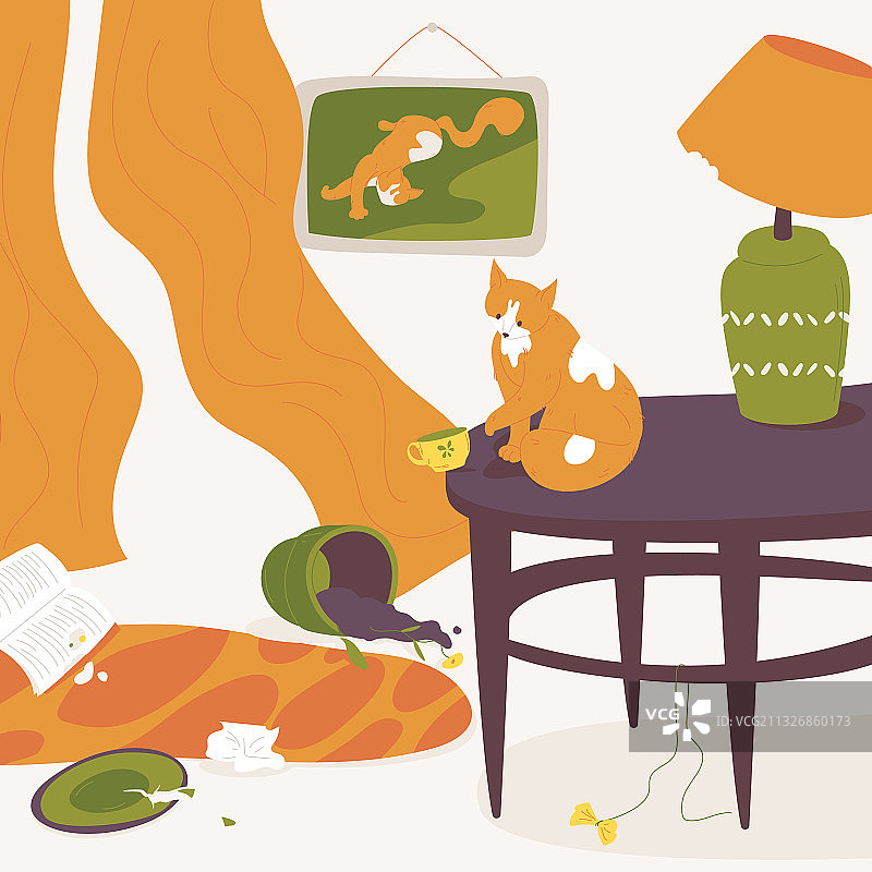 猫咪破坏房屋、植物和室内装饰图片素材