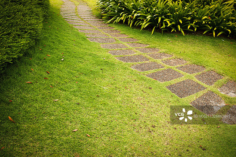 草地上的小路高角度视图图片素材
