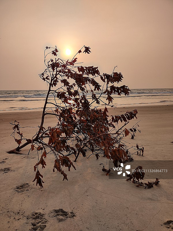 印度门格洛尔日落时分的海景图片素材
