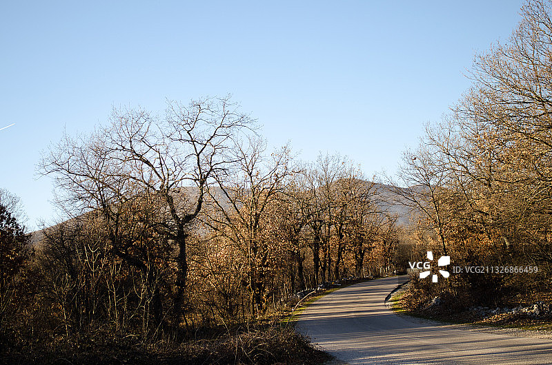 波斯尼亚和黑塞哥维那波多索耶的树木道路图片素材