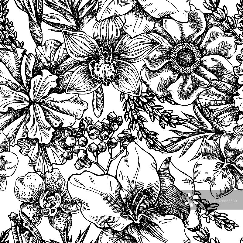 黑白银莲花无缝图案图片素材