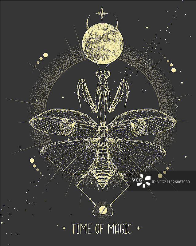 带有月亮和螳螂的卡片图片素材
