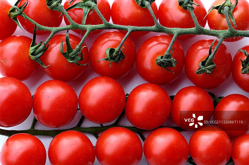 法国巴黎的番茄全景照片图片素材