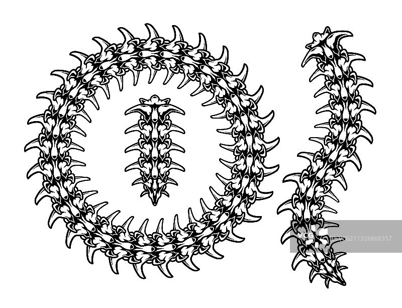 毛毛虫骨骼图案笔刷图片素材