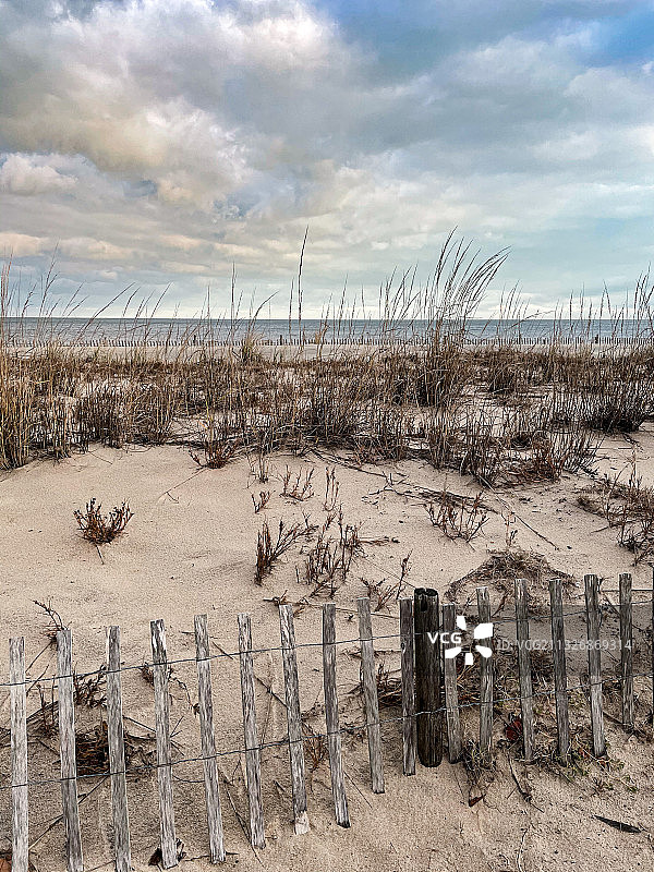 美国特拉华州里霍博斯海滩的田野风光图片素材