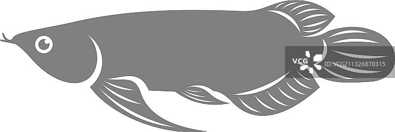 创意金龙鱼标志模板图片素材