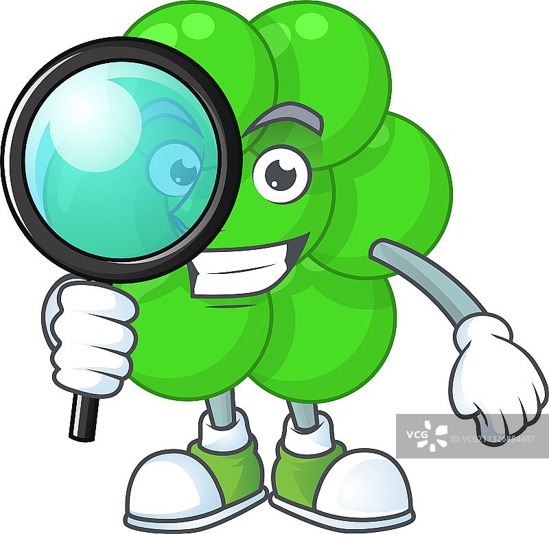 金黄色葡萄球菌图片素材