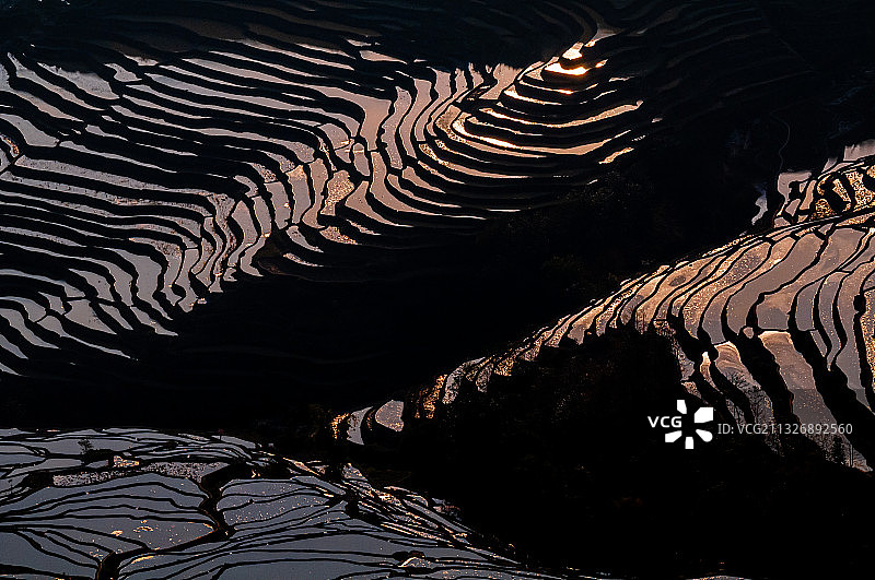 中国多依树梯田图片素材