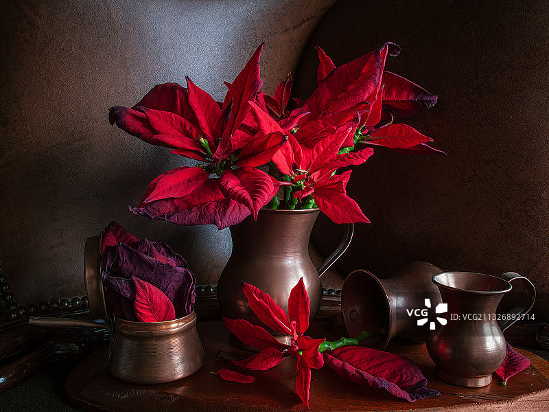 桌上红色花朵和叶子特写图片素材