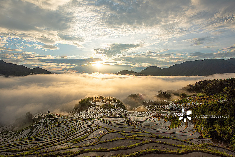 春天日出云海中的云和梯田图片素材