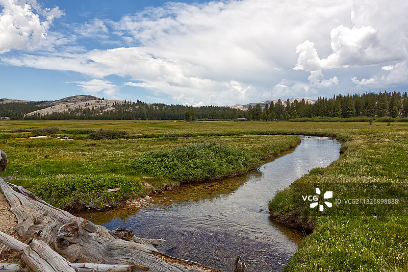 美国加州图奥勒米草甸河景图片素材