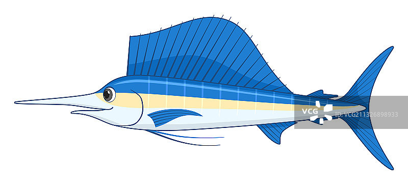 白色背景上的旗鱼图片素材