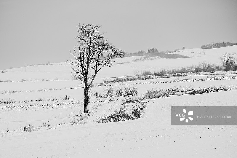 波兰白雪原野晴空美景图片素材