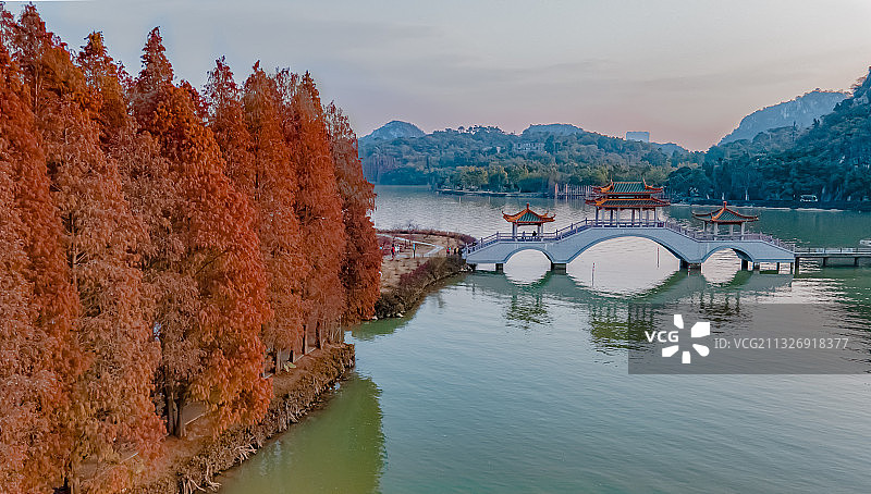 公园秋色图片素材