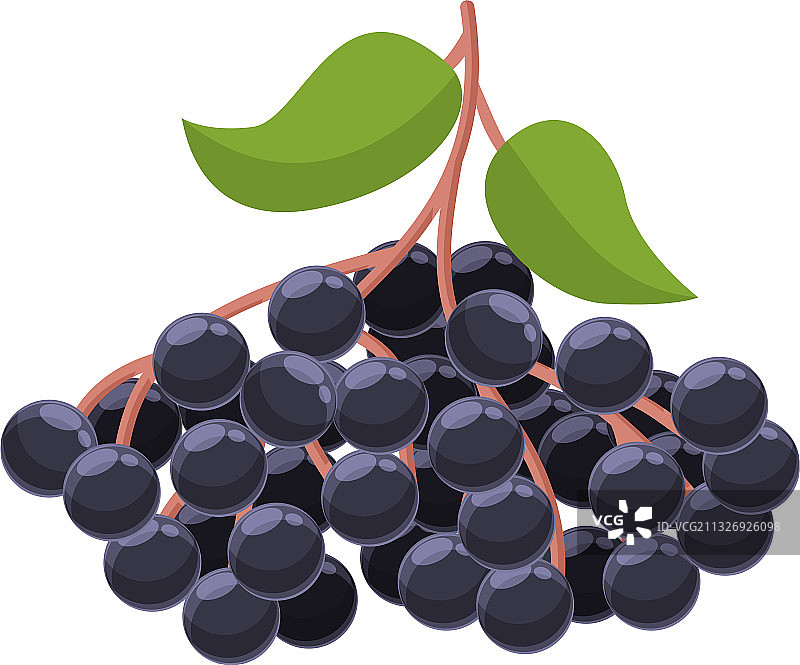 多汁的接骨木卡通风格图标图片素材