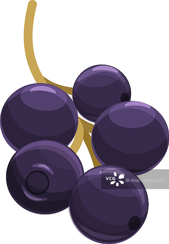 卡通风格的接骨木浆果超级食品图标图片素材