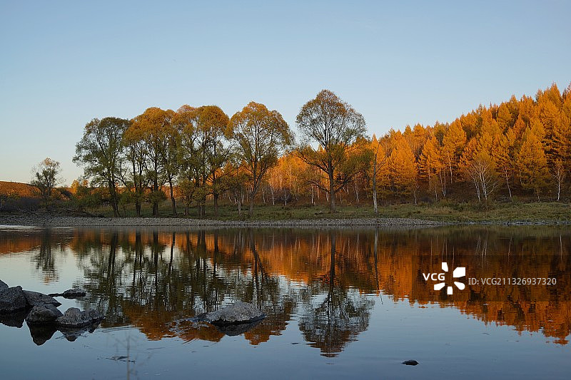 光影下的水边树林图片素材