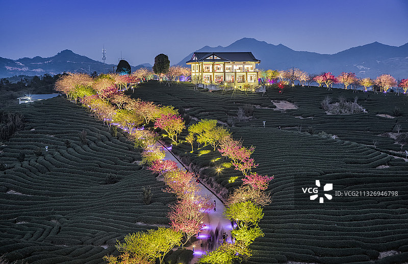 福建省龙岩市永福樱花园的夜景图片素材