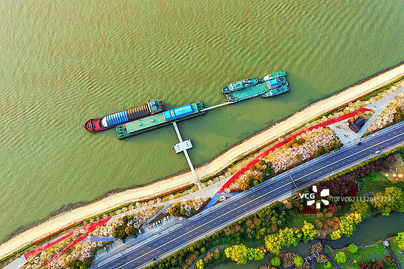 南京幕燕滨江风光带江边的樱花盛开图片素材