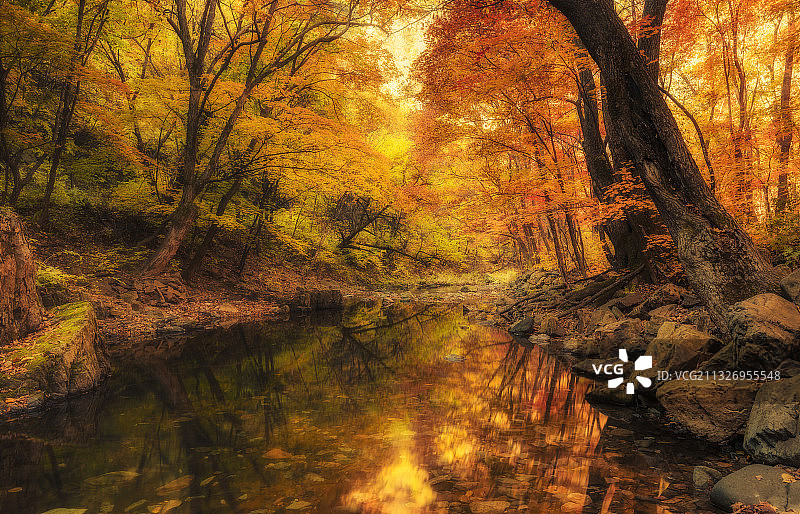 东北的秋色图片素材