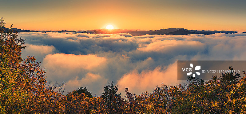 东北的秋色图片素材