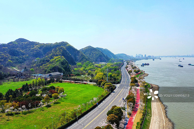 南京幕府山，燕子矶滨江风光带的樱花盛开图片素材