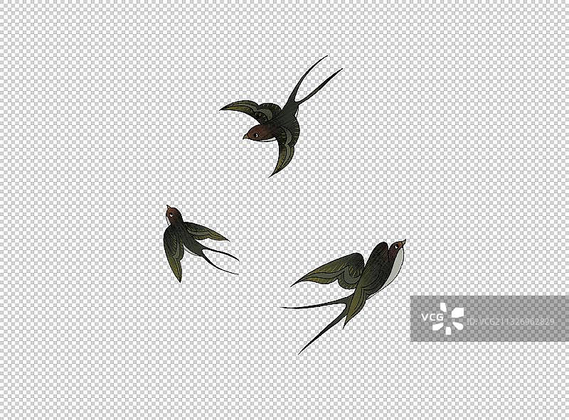 燕子图片素材