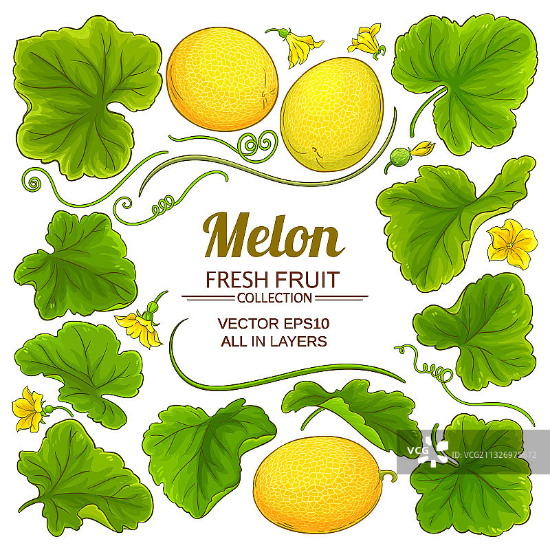 甜瓜元素合集图片素材
