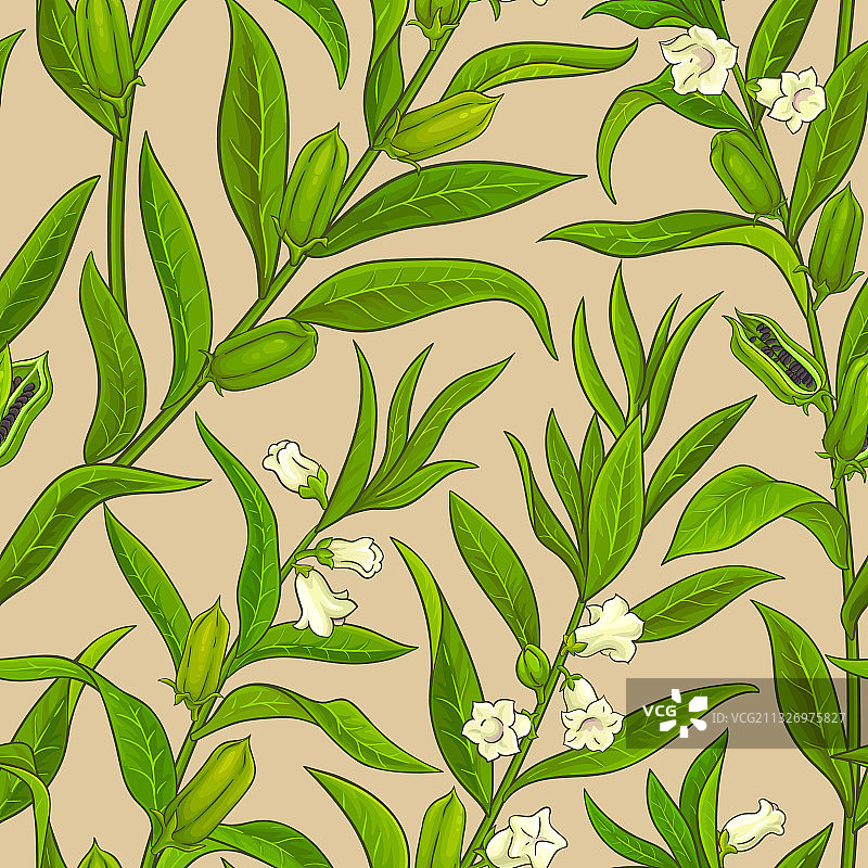 芝麻图案图片素材