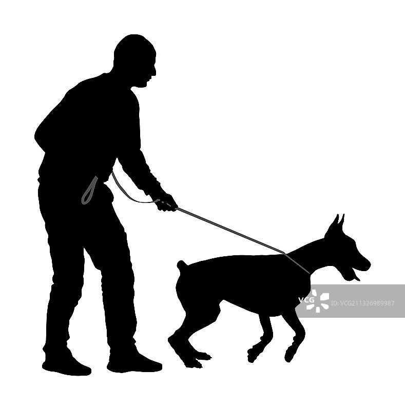 主人牵着杜宾犬剪影图片素材