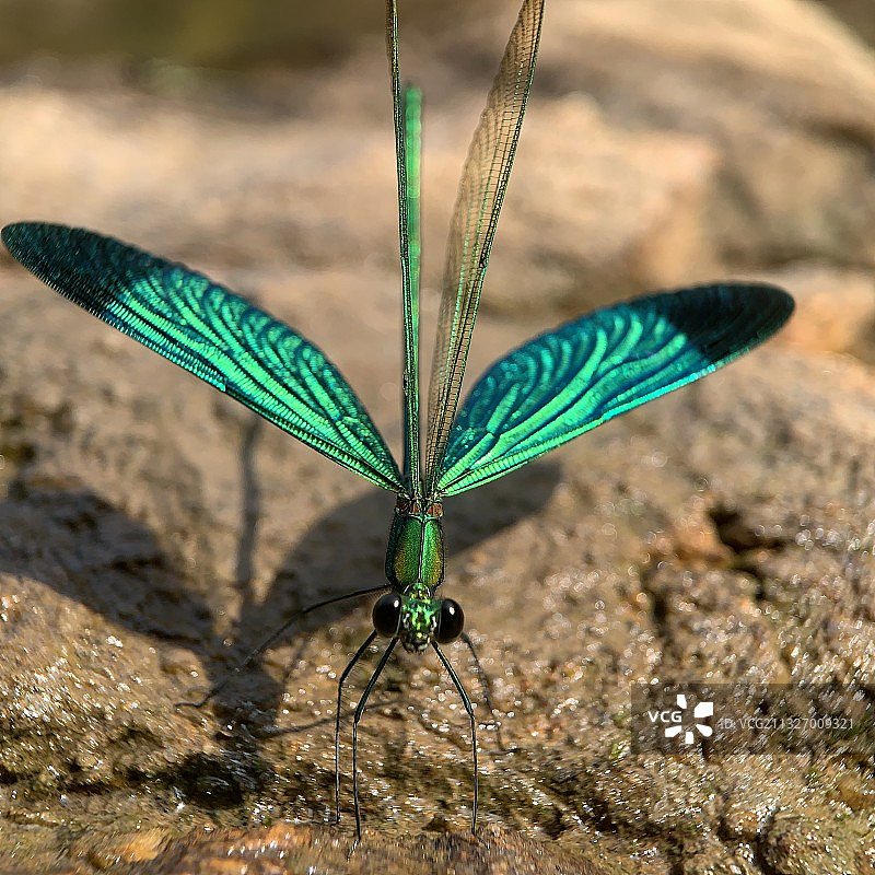 皂幕山图片素材