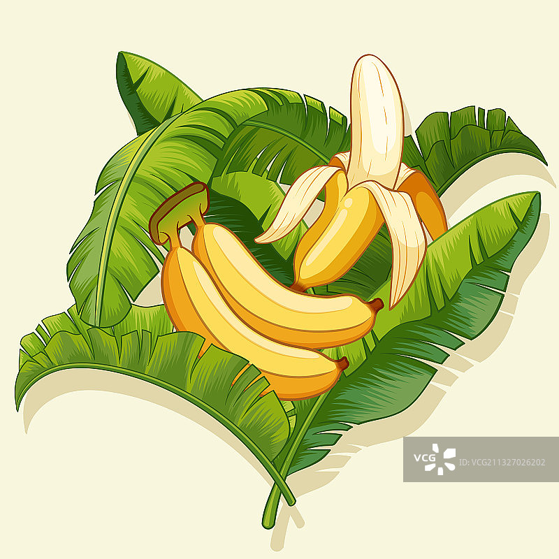香蕉和香蕉皮与香蕉叶设计图片素材