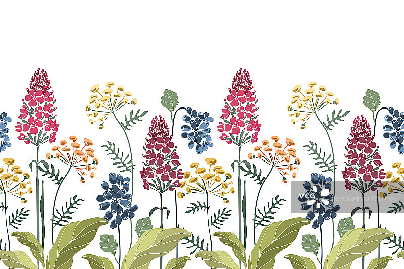 花卉无缝边框图案（春季）图片素材
