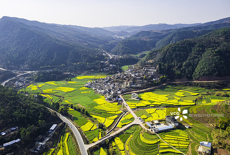 母鲁打图片素材