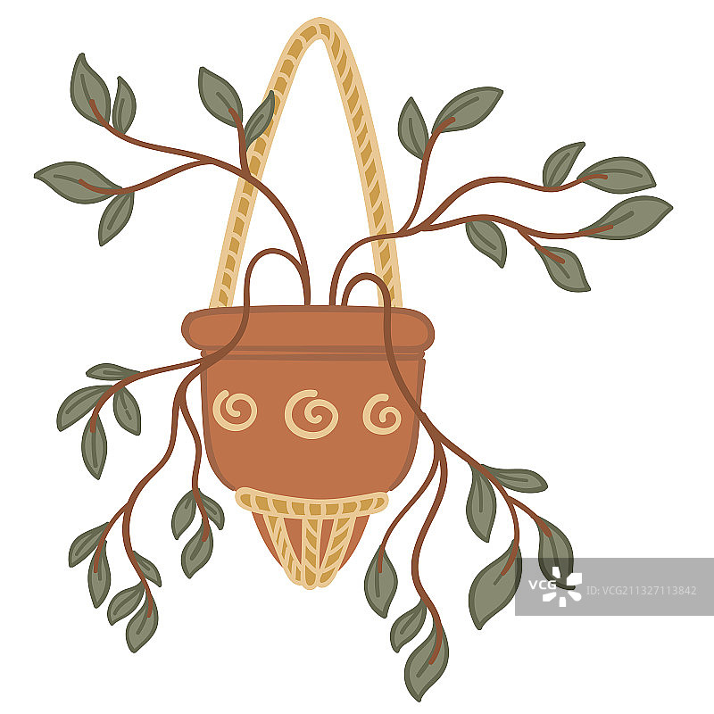 盆栽室内植物：小叶花卉图片素材