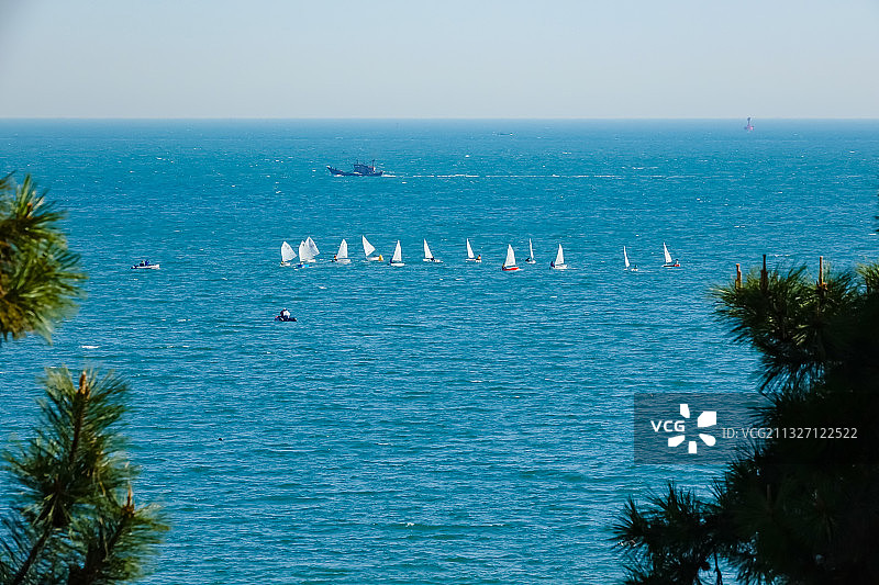 帆船  航行 帆船赛图片素材