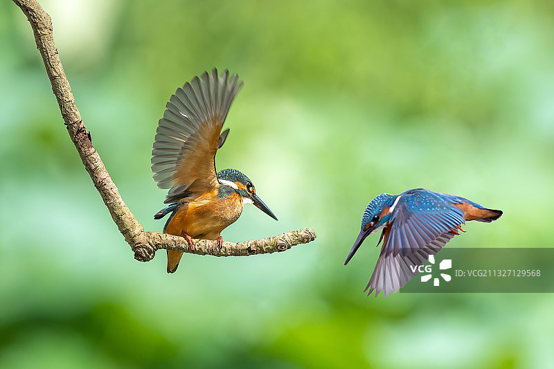 共同目标图片素材