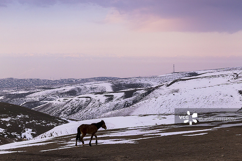 伊犁那拉提巩乃斯雪景图片素材