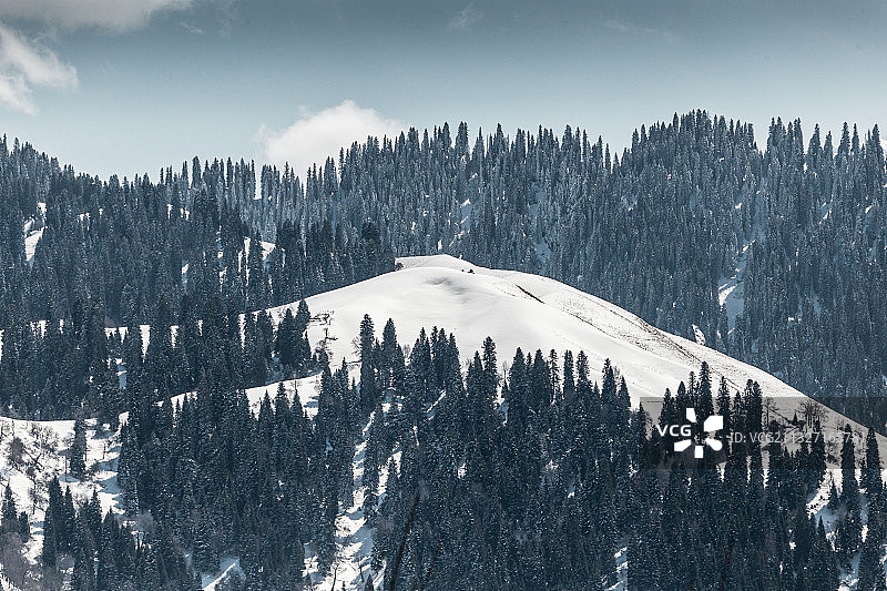 伊犁那拉提巩乃斯雪景图片素材